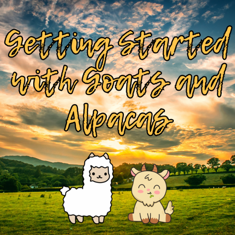 background image is a pastoral view of rolling hills with a sunsetting behind the clouds; text reads getting started with goats and alpacas; there is clip art in the foreground of a cartoon goat and a cartoon alpaca