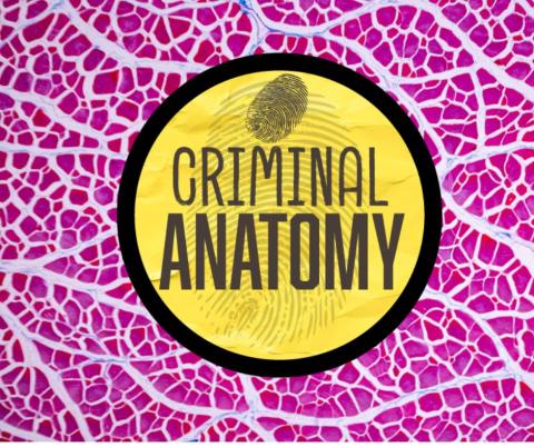 Fingerprint over the word "Criminal Anatomy"