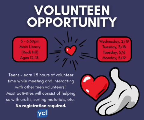 VolunTeen Opportunity Flyer