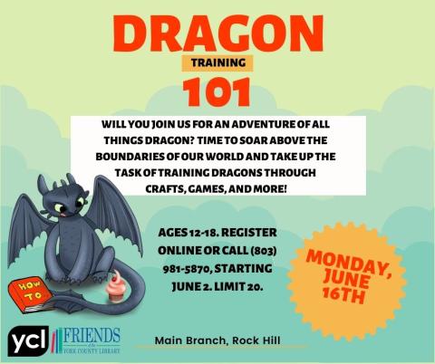 Dragon Training 101