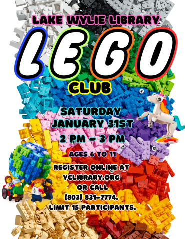 LEGO Club January