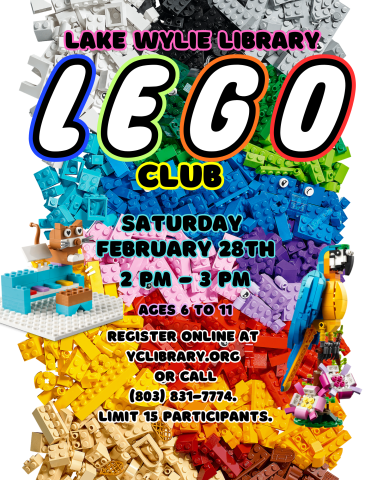 LEGO Club February