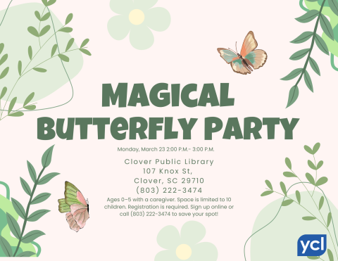 Magical Butterfly Party