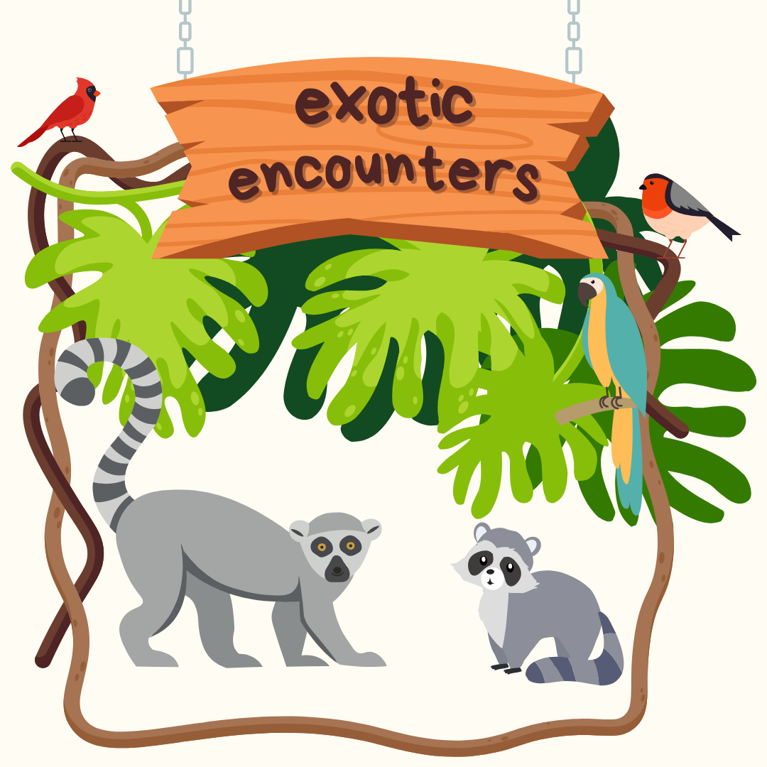 a cartoon illustration of vines, large jungle leaves, and various animals is in the background. A sign is hanging down from the top that reads "exotic encounters".