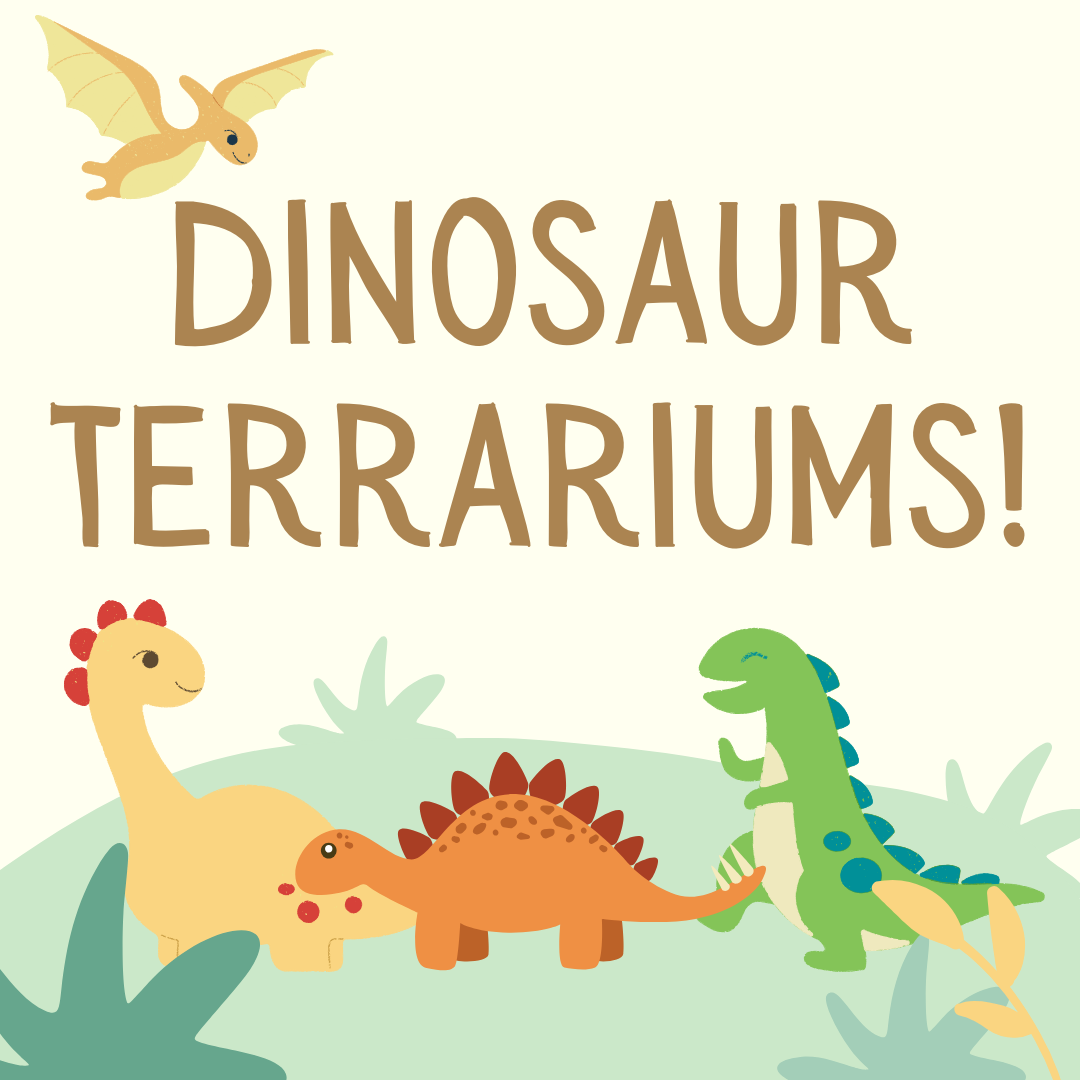 Illustration of colorful dinosaurs and a flying reptile with the text "dinosaur terrariums!" in a playful, child-friendly design.