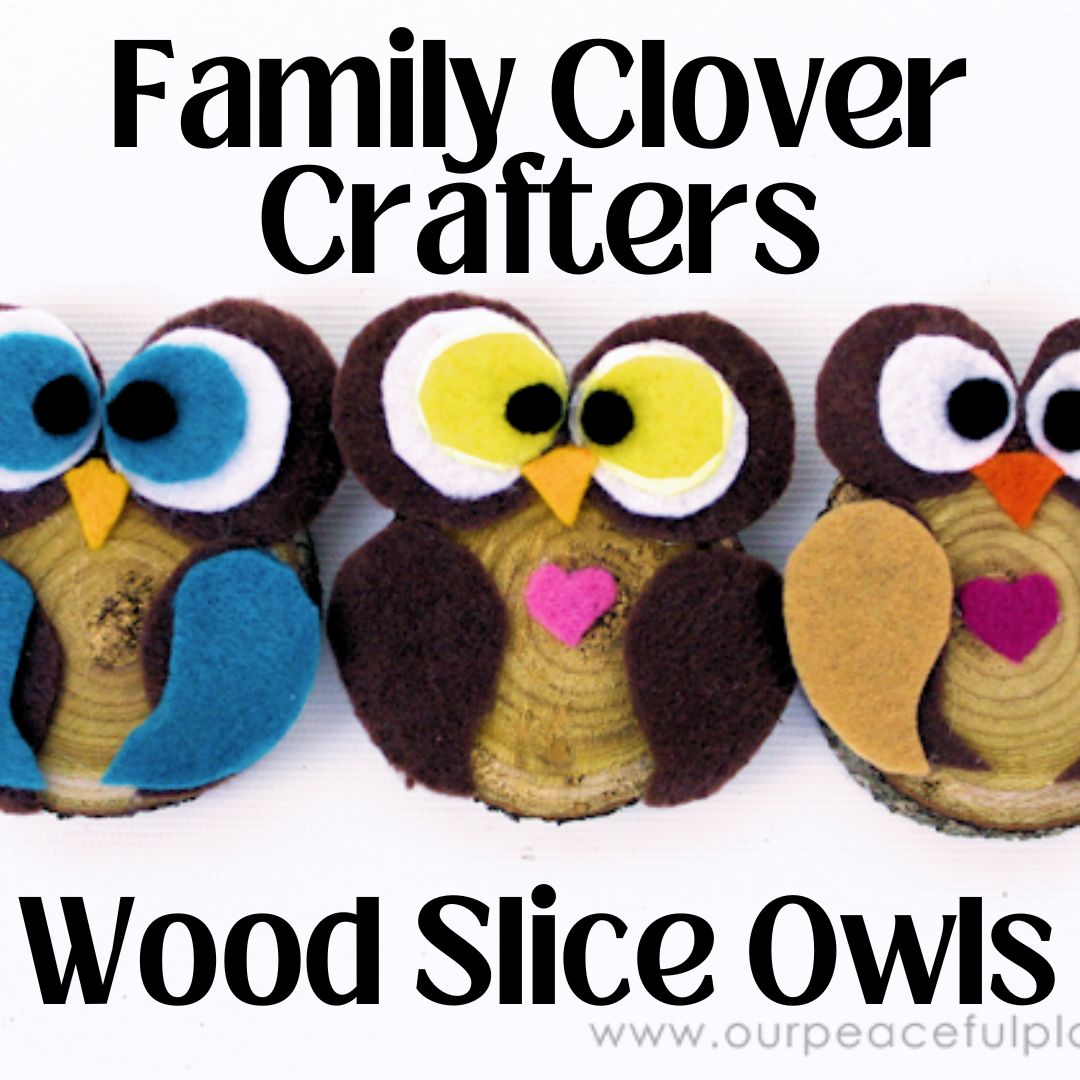 Three handmade felt owls with colorful eyes and hearts on wood slices are displayed. Text reads "Family Clover Crafters - Wood Slice Owls"