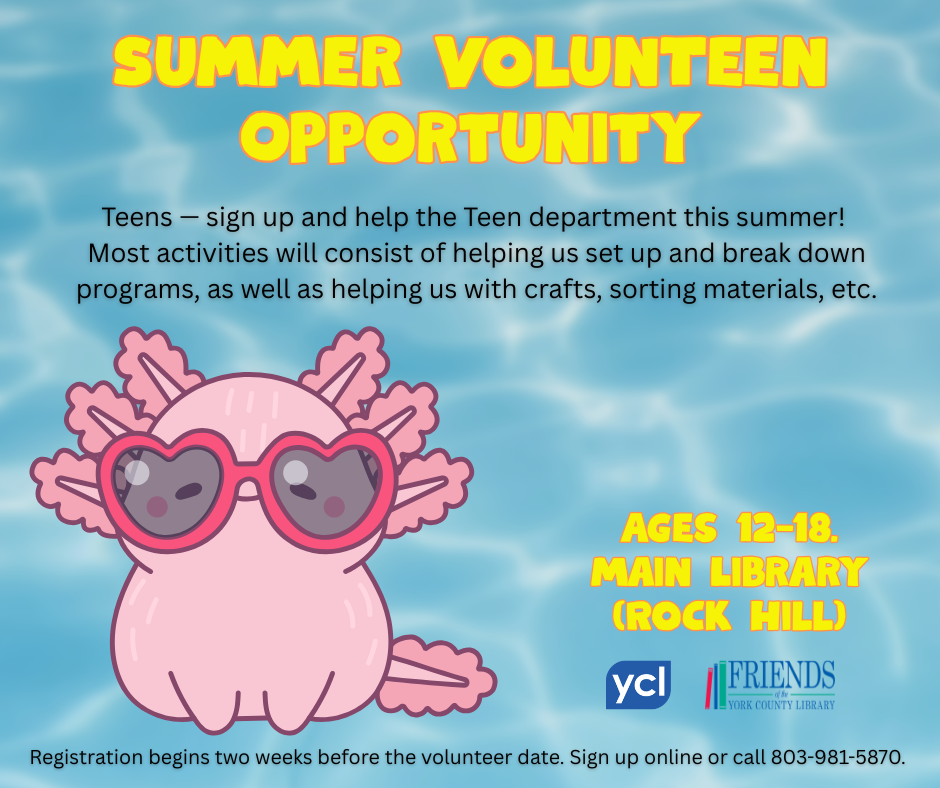 Summer VolunTeen Opportunity flyer