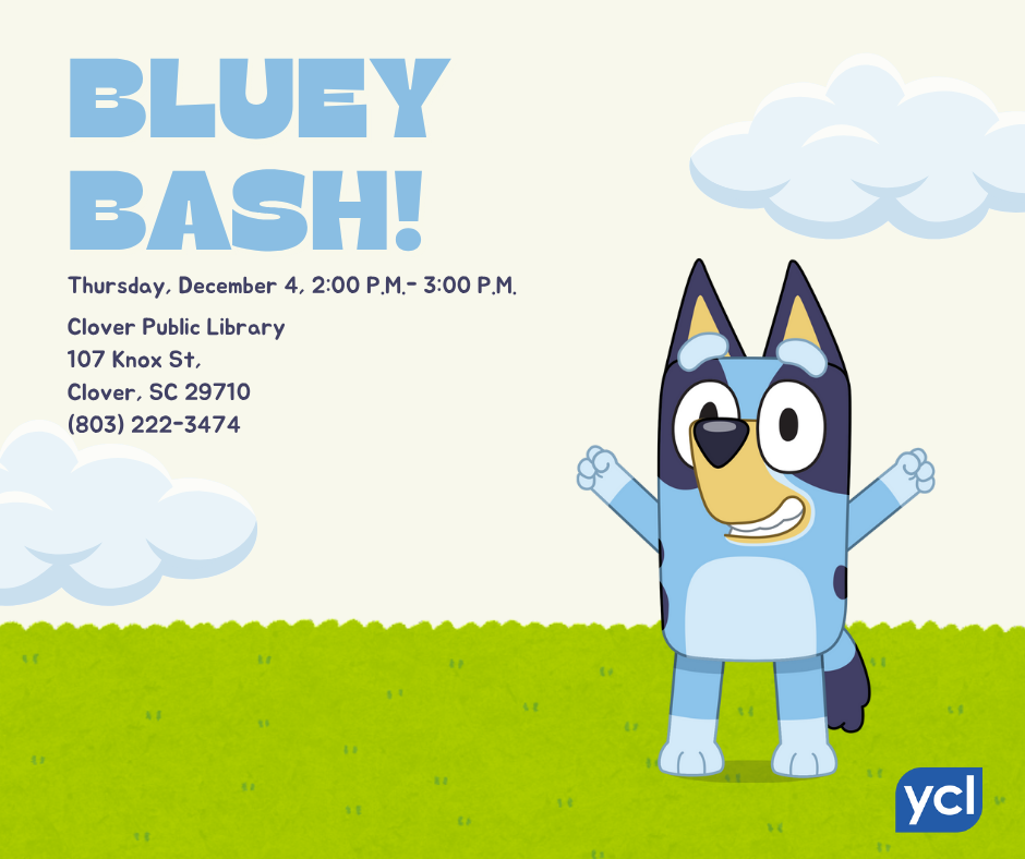 Bluey Bash!